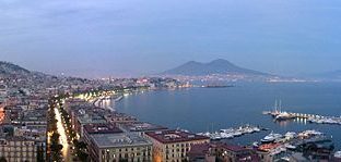 quotes about naples